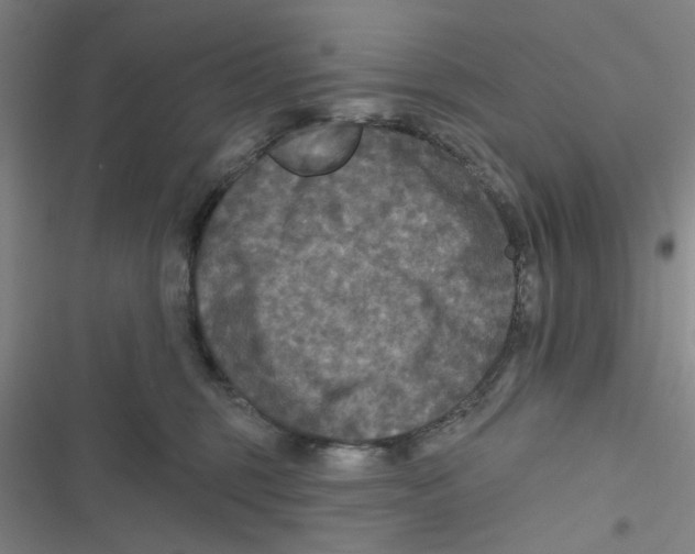 X0000116790375201001151106