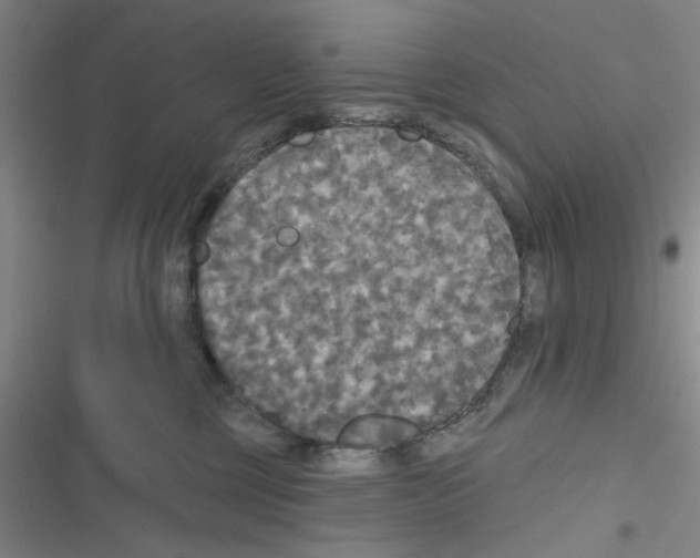 X0000116790377201001151106