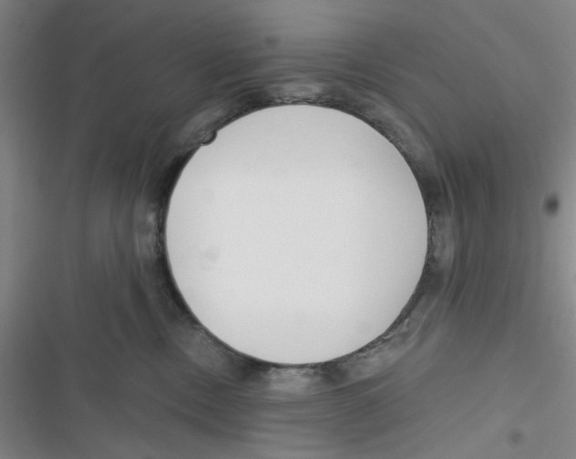 X0000116790378201001151107