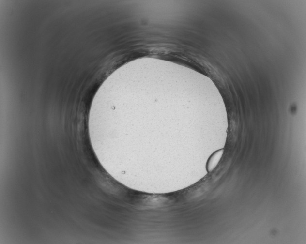 X0000116790379201001151107