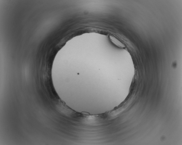 X0000116790382201001151107