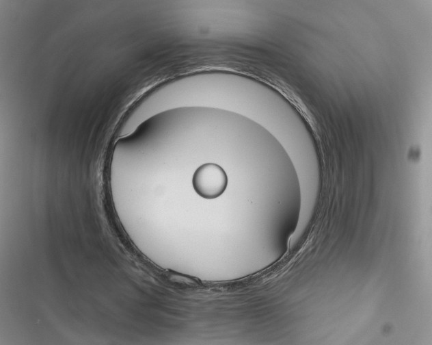 X0000116790386201001151106