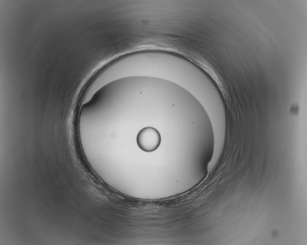 X0000116790387201001151106