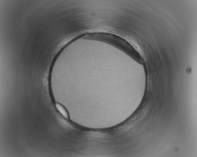 X0000116790389201001151106