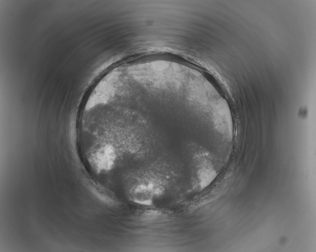 X0000116790390201001151106