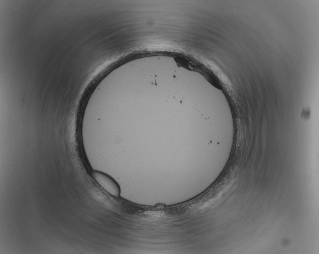 X0000116790391201001151106