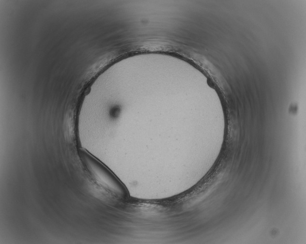 X0000116790393201001151106