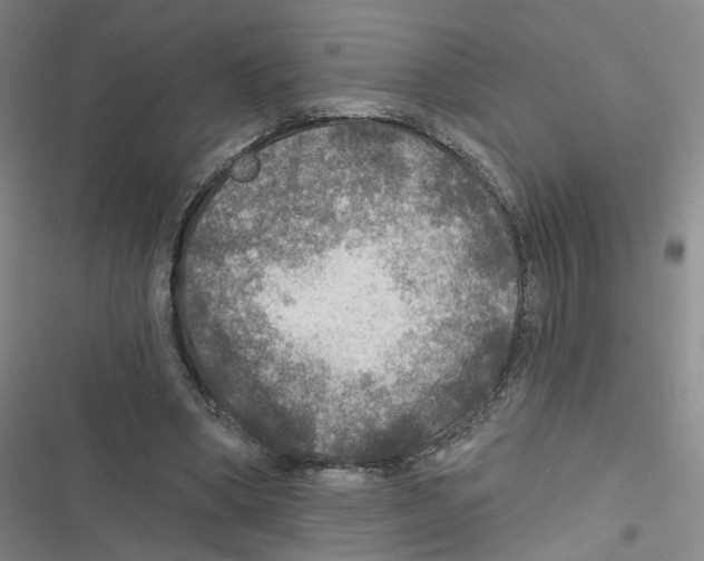 X0000116790394201001151106