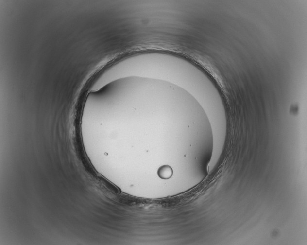 X0000116790395201001151106