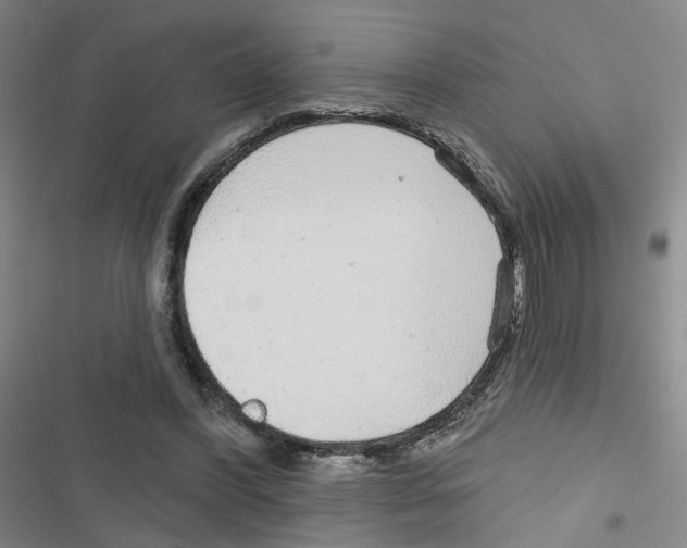 X0000116790396201001151106