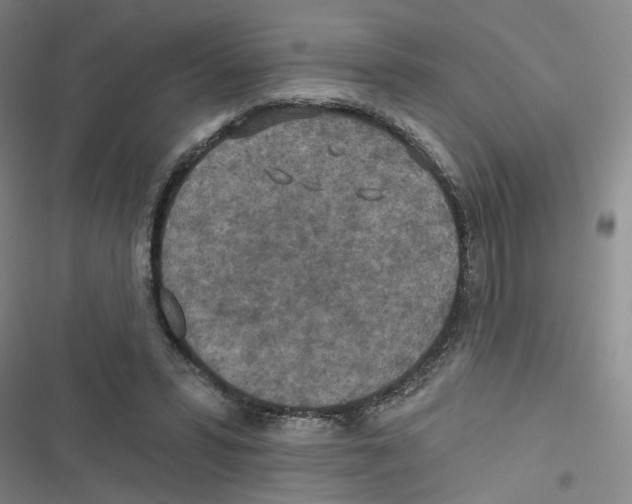 X0000116790399201001151106
