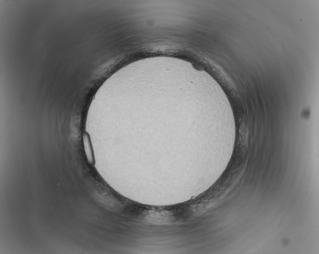 X0000116790403201001151106