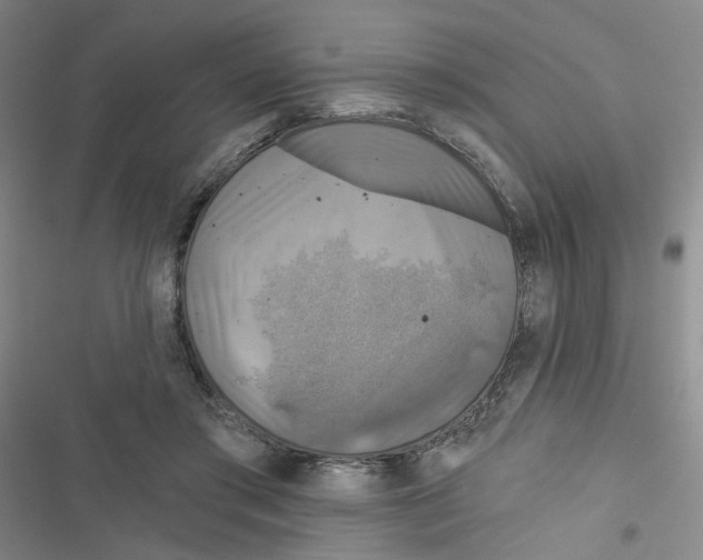 X0000116790405201001151106