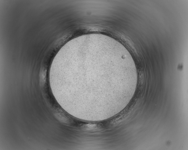 X0000116790406201001151106