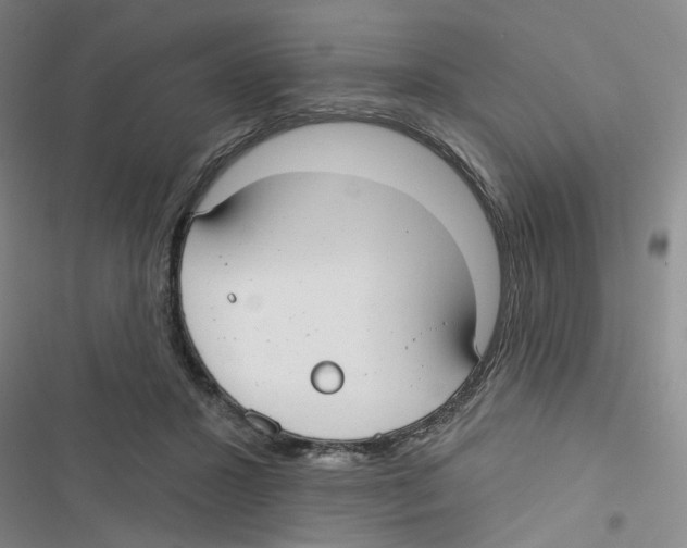 X0000116790407201001151106