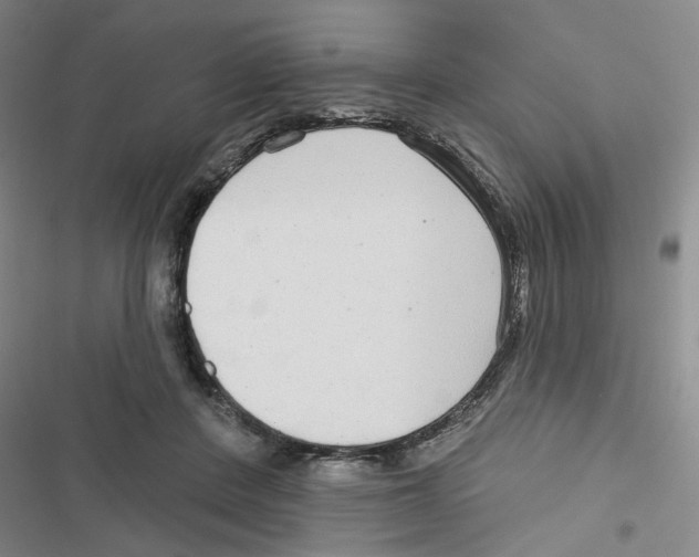 X0000116790408201001151106