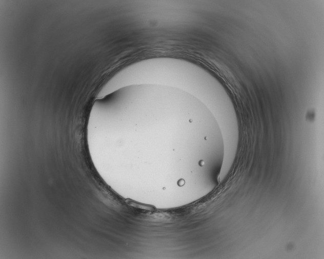 X0000116790409201001151106
