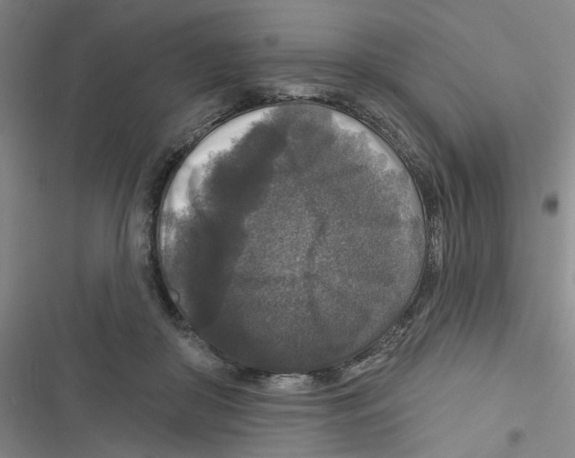 X0000116790410201001151106