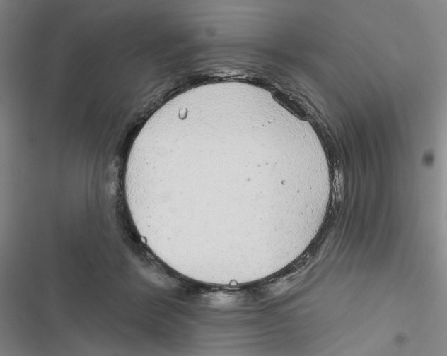 X0000116790412201001151106