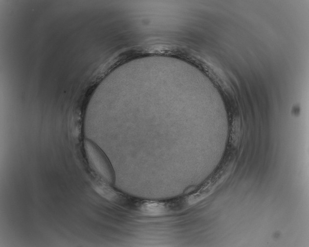 X0000116790413201001151106
