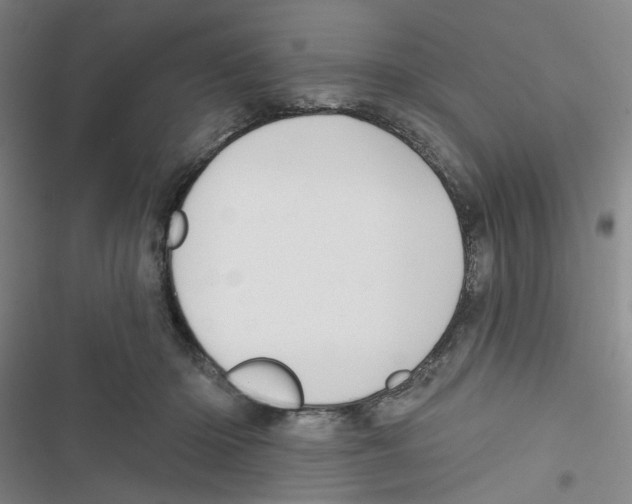 X0000116790414201001151106