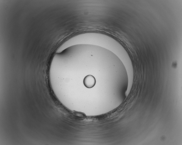 X0000116790415201001151106