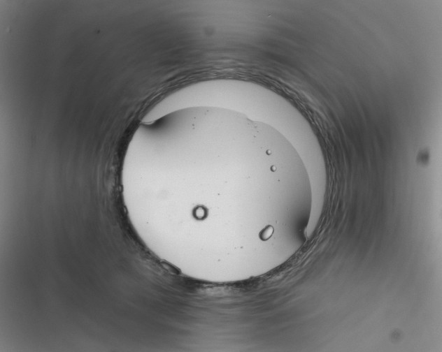 X0000116790417201001151105