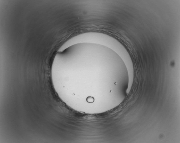 X0000116790419201001151105