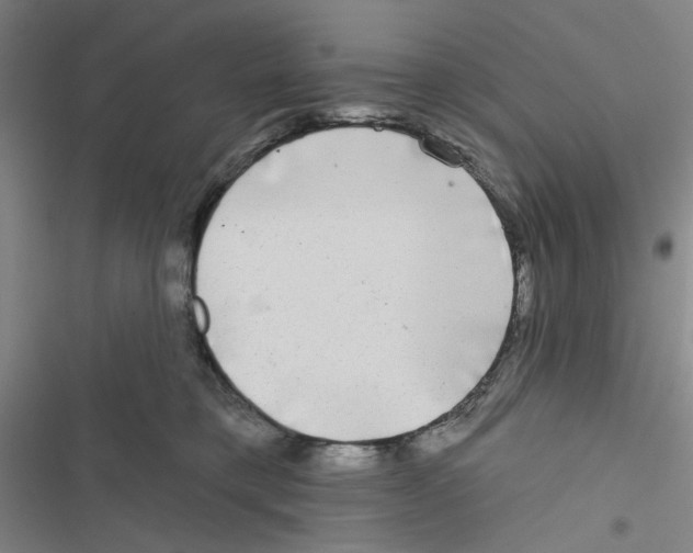 X0000116790421201001151105