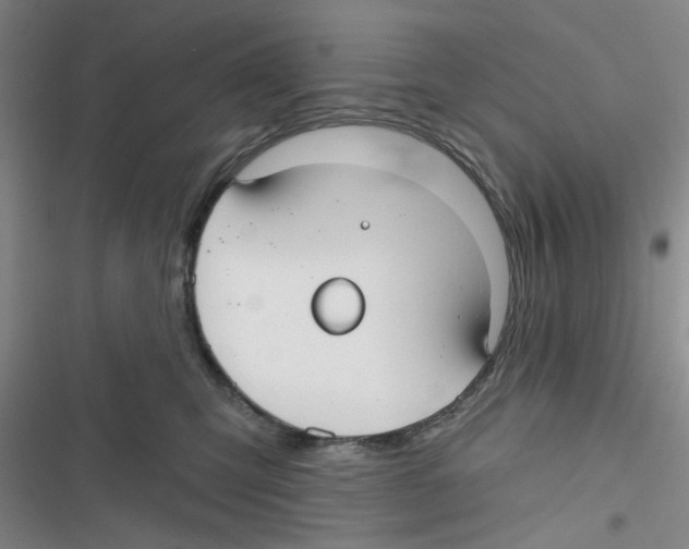 X0000116790423201001151105