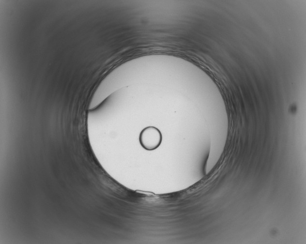 X0000116790425201001151105