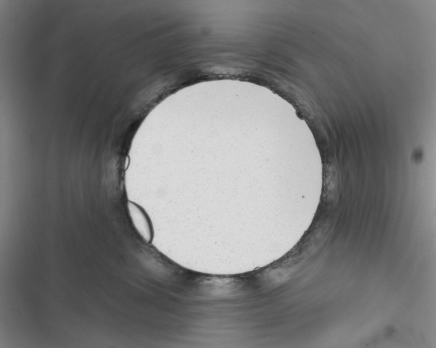 X0000116790428201001151105