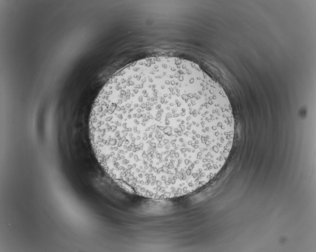 X0000116790429201001151105