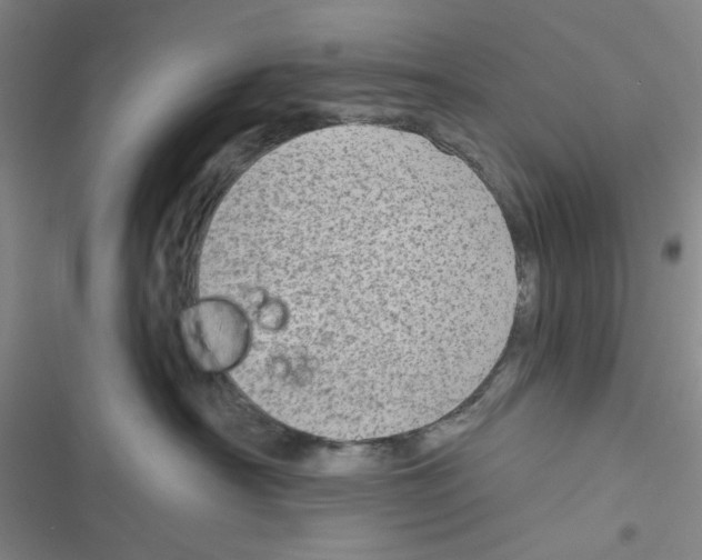 X0000116790430201001151105
