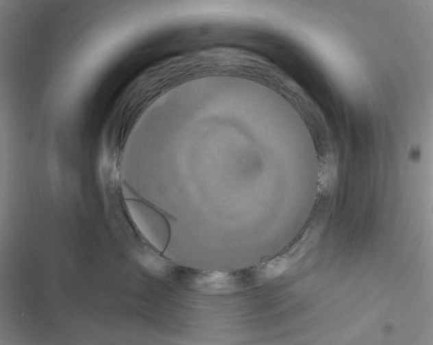 X0000116790431201001151105