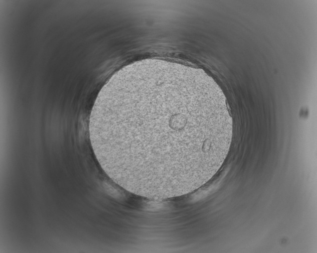 X0000116790432201001151105