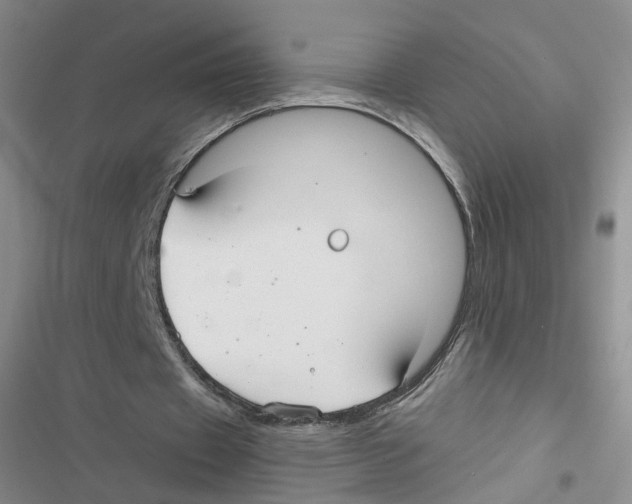 X0000116790433201001151105