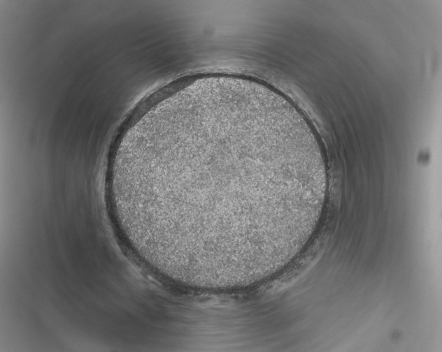 X0000116790434201001151105