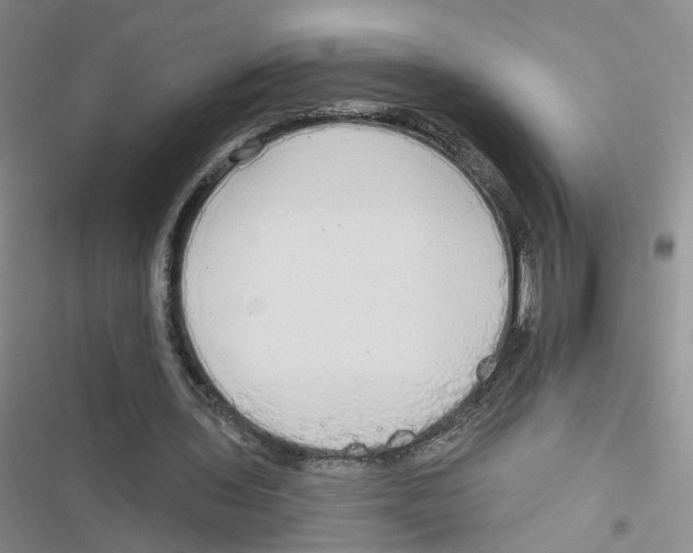 X0000116790435201001151105