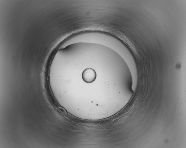 X0000116790436201001151105