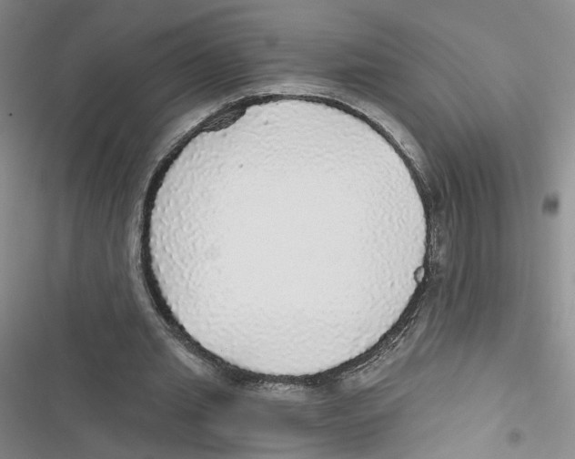 X0000116790437201001151105