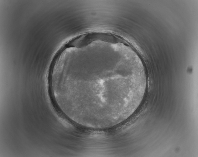 X0000116790438201001151105