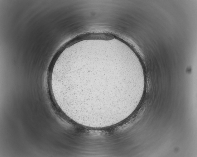 X0000116790439201001151105