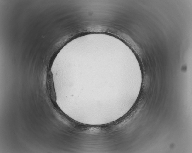 X0000116790441201001151105
