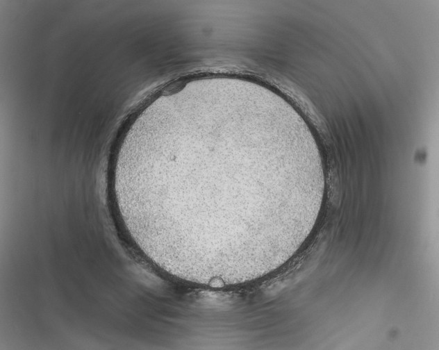X0000116790442201001151105