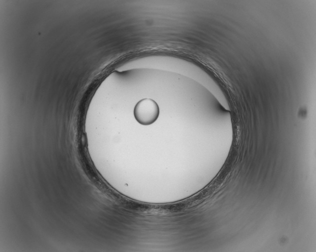 X0000116790444201001151105