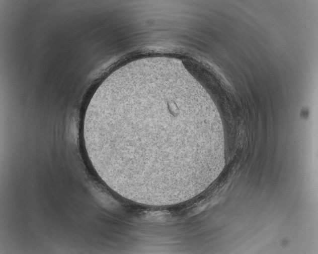 X0000116790446201001151105