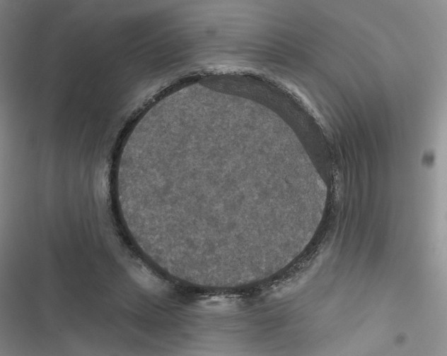 X0000116790447201001151105