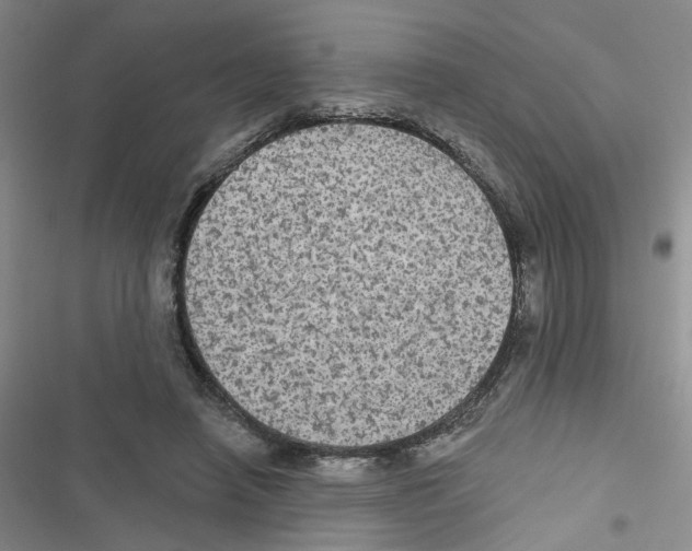 X0000116790450201001151105