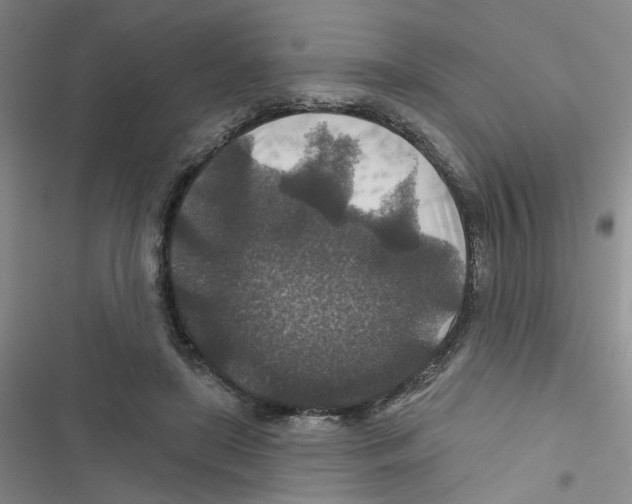 X0000116790451201001151105